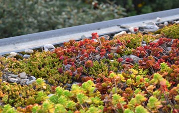 the cost of Bolton Abbey green roof installation